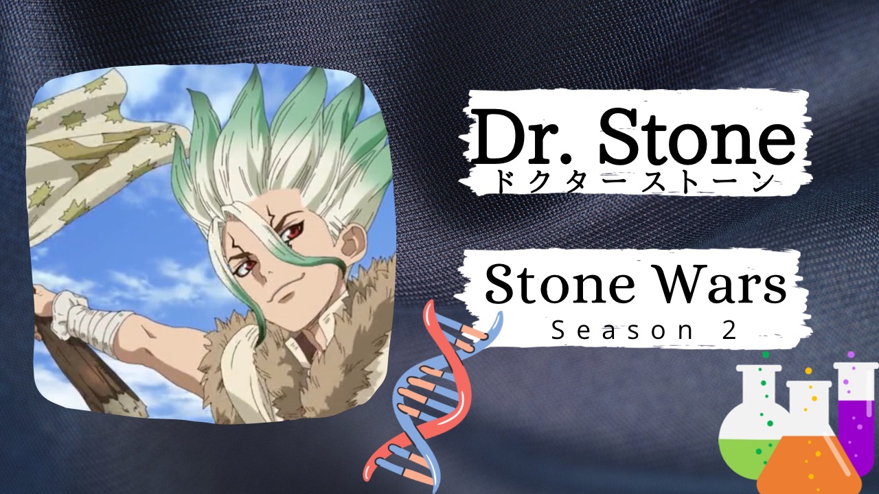 DR. Stoneシーズン２｜カテゴリー